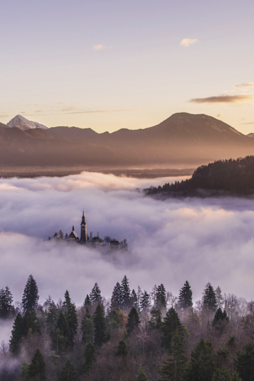 stayfr-sh:  Mystical Sunrise
