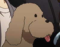 miyakuli:   