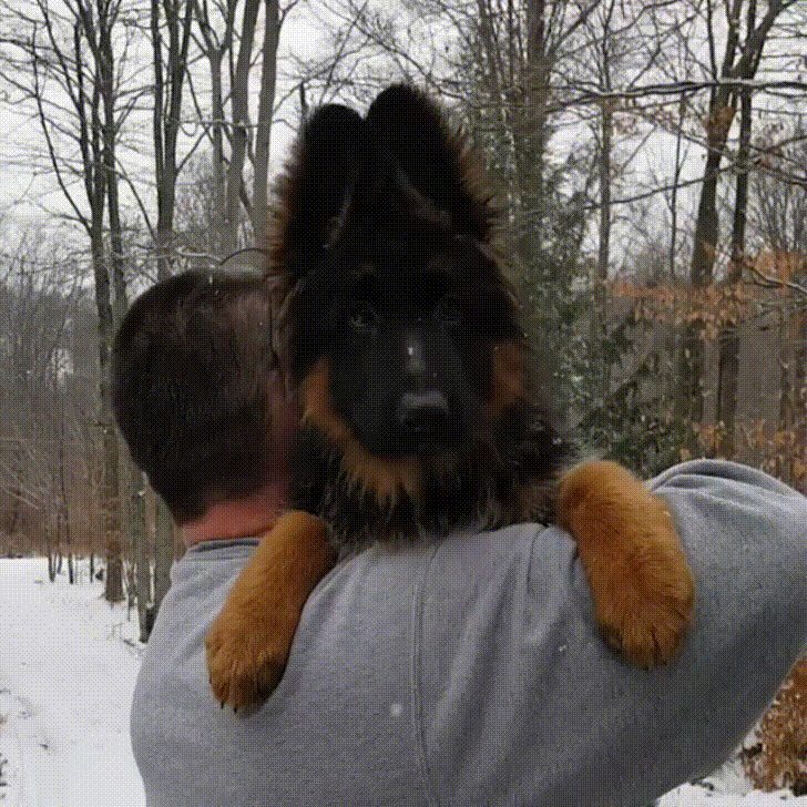 awwww-cute:  What is tha…OMG it’s on you it’s on you!!! (Source: http://ift.tt/2nZBF2M)