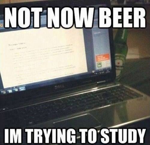 funniestpicturesdaily:  The struggle of studying for finals in Austria.  You cant