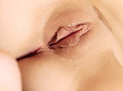 Labia Lips Passion