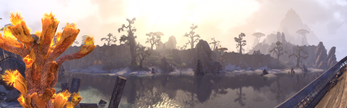 West of Ebonheart, Stonefalls, is The Matron’s Clutch. There the dreugh swarm - guards to the Bluecl