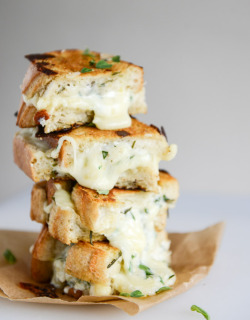 do-not-touch-my-food:  White Pizza Grilled Cheese