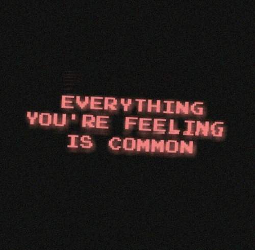 heavensghost:rhode island  //  the front bottoms
