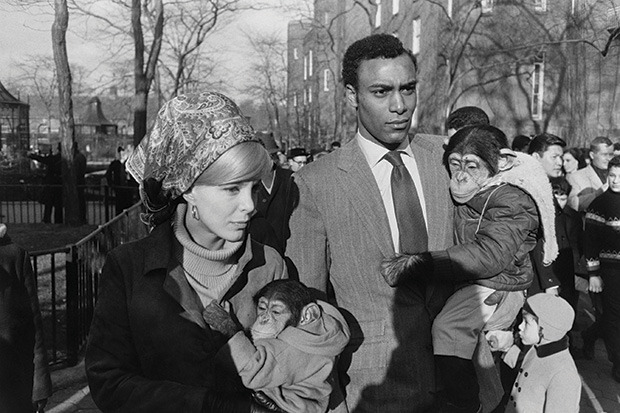 twotinyselves:
“Garry Winogrand, Central Park Zoo New York, 1967. © The Estate of Garry Winogrand, courtesy Fraenkel Gallery, San Francisco.
http://www.sothebys.com/en/news-video/blogs/all-blogs/on-the-loos/2013/05/garry-winogrand-sf-moma.html
”
This...