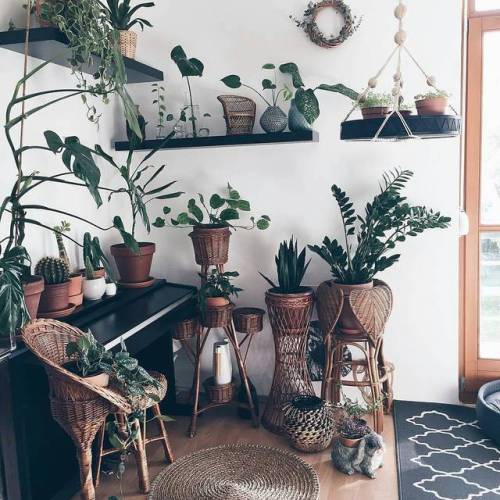 @urbanjungleblog