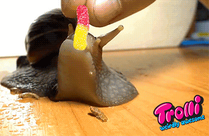 trolliweirdlyawesome:  Eats the new minis super fast.