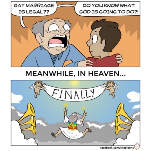 Porn Pics collegehumor:  Gay marriage is legal!!!