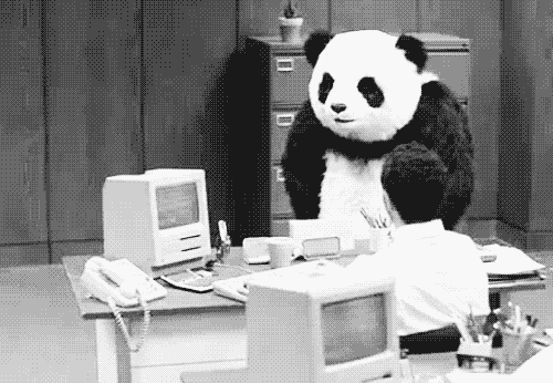 girlwhoposts-x:mysharona1987: “What do you mean, pandas are going extinct?!” I’ve 