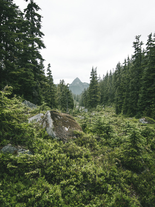 Meadow and Mountain by Graham Spencer // Mines of the West