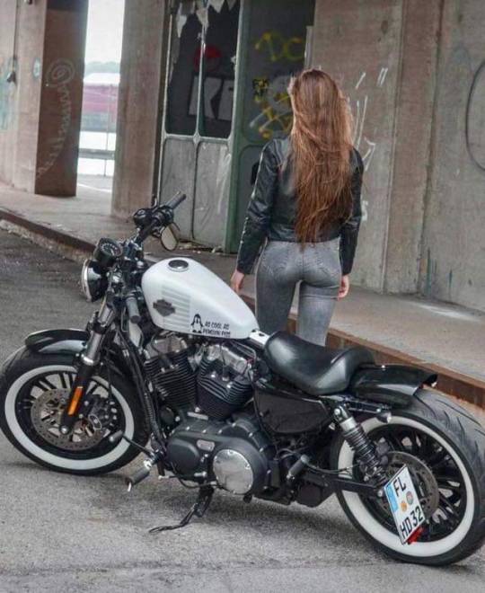 4theluvofwheels:More bike love.  Harley time