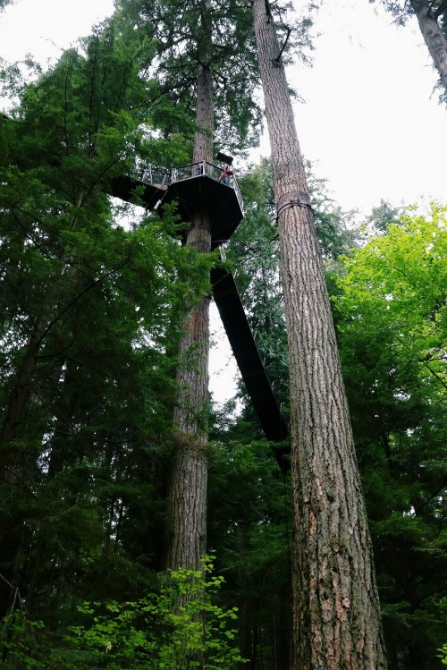 open-minded-teen:  Capilano Suspension Bridge Park, North Vancouver, British Columbia, Canada 