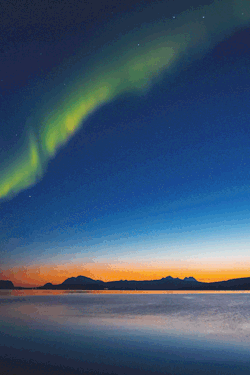 tryintoxpress:    Northern Lights - Photographer