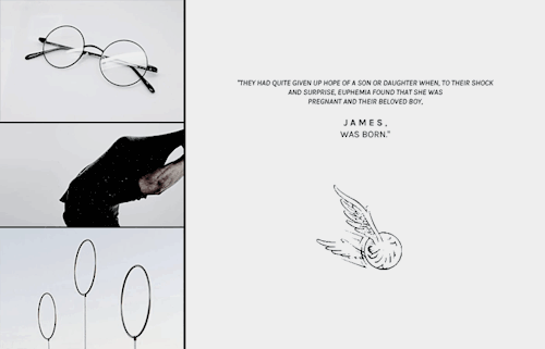 harrypotternetwork:             happy birthday james potter!