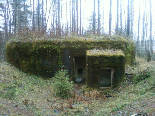 [ID: A small concrete structure, low to the ground, with moss and plants growing up it’s walls