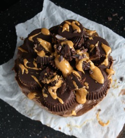 vegan-yums:  Raw vegan chocolate peanut butter cheesecake / Recipe