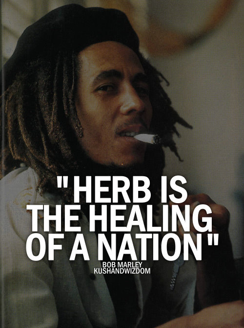 KUSHANDWIZDOM