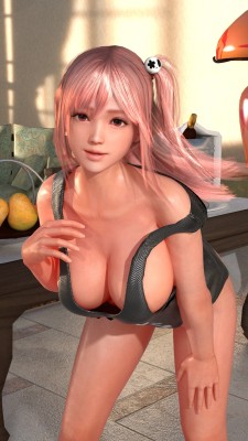 deluwyrn:   Honoka DOAX3 Shirt Tease:   Honoka model by deluwyrn &amp; irokichigai01DOAX2 Hotel Room model by kammyyxPosed in XPS 11.7 by xnalaraitaliaRendered in Blender 2.77 (Cycles)All rights reserved to KOEI Tecmo &amp; Team Ninja.   