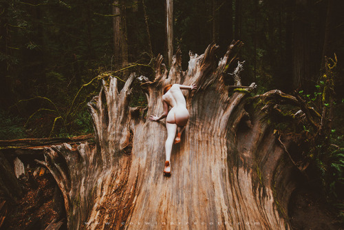 corwinprescott:“We Were Wanderers”Redwoods, Ca 2017We spent two weeks on the road camping in the forest, and cooking our food over the fire.  The redwoods have always been one of my favorite places in the world.  A place were the calm washes over