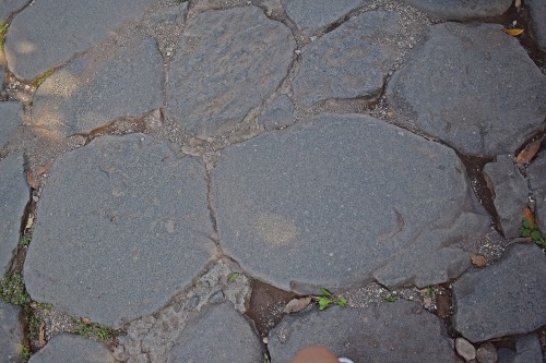 forum romanum