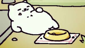 Reblog for Tubbs the cat, ignore for Donald Trump