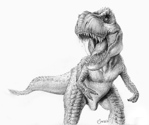 Tyrannosaurus Rex by Brett Gross. Ball-point pen on sketch paper. 14″x11″.