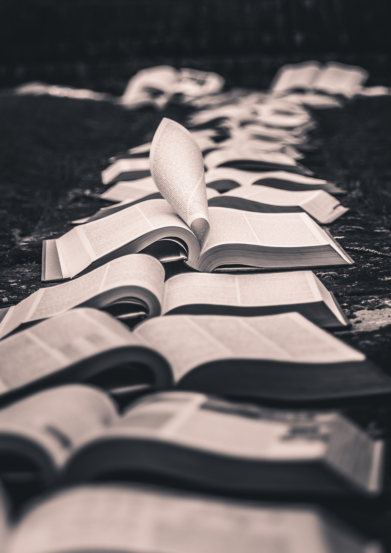 freddie-photography:  ‘Opened Wisdom’ and ‘Path to Knowledge’ are some of