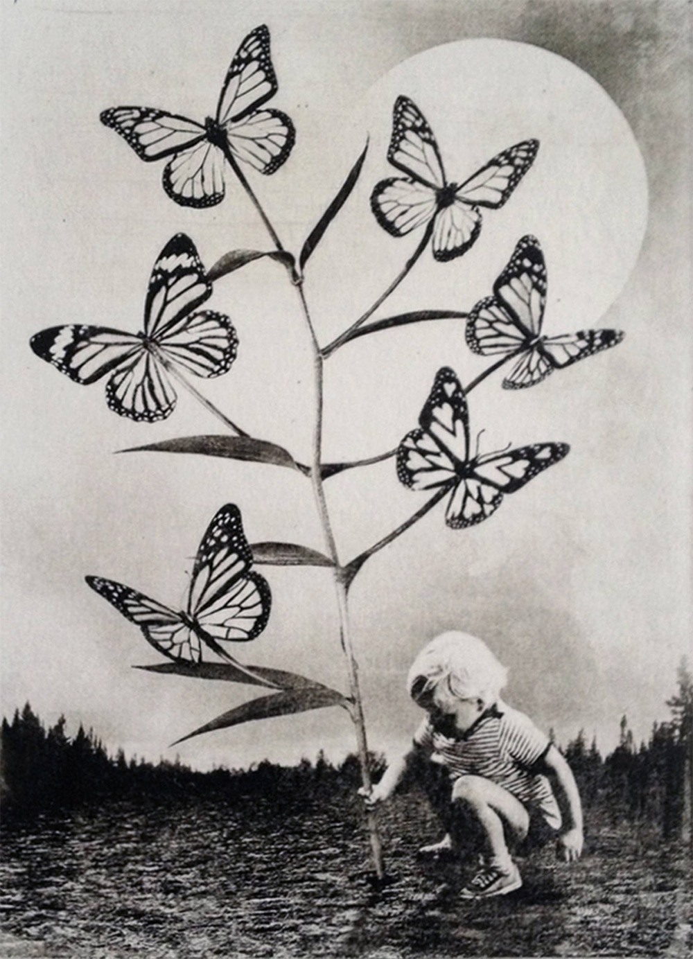 itscolossal:  Dually Sinister and Playful Solarplate Etchings by Jaco Putker