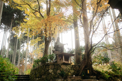 lifeinkyoto:Might as well get lost — Sanzen-in