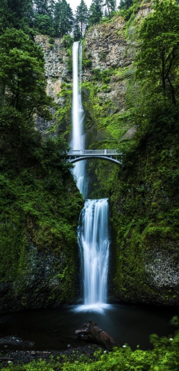 lotrscenery:Mirkwood - Multnomah Falls, Oregon