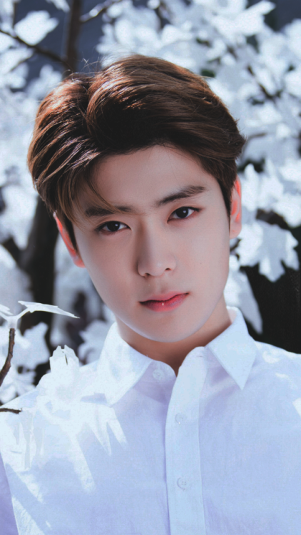 jung jaehyunlike if saving  ˚₊·