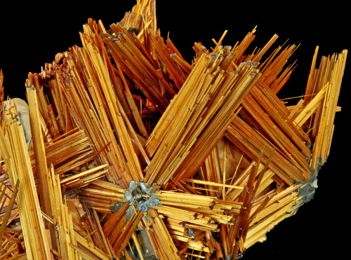 fuckyeahmineralogy: Rutile with Hematite; Novo Horizonte, Bahia, Brazil