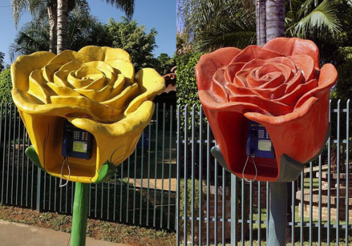 love:Flower phone booths in Sao Paulo, Brazil