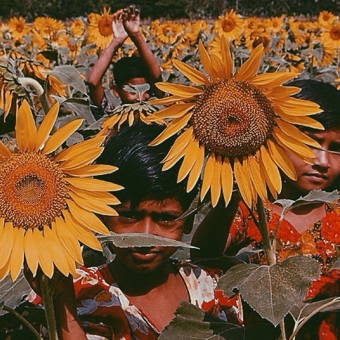 sabahzora:language moodboard: bengali