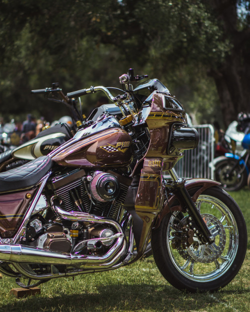 freewheelen:  BORN FREE MOTORCYCLE SHOW: YEAR 11 (Pt. 2)