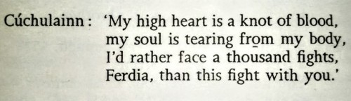 trans-cuchulainn:heycan you not