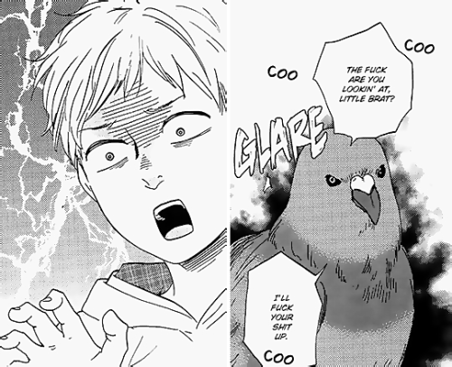 Yaoi is my Life