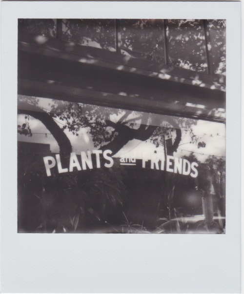 Polaroids from the first SF Instant Photo Walk of the year with Glass Key Photo, San Francisco. We w