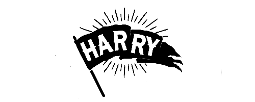 leims:  One direction typography in ‘midnight memories’. 