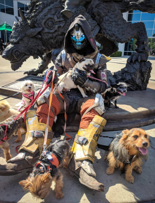 sixofcaydes:  If the union between Bungie and Blizzard blessed us with anything it was these beautiful photos.Sources: 1/2/3/4/  This is still the best Xd