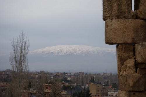 Springtime in Baalbek, Lebanonالربيع في بعلبك، لبنان