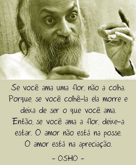 tudunosso:  - 