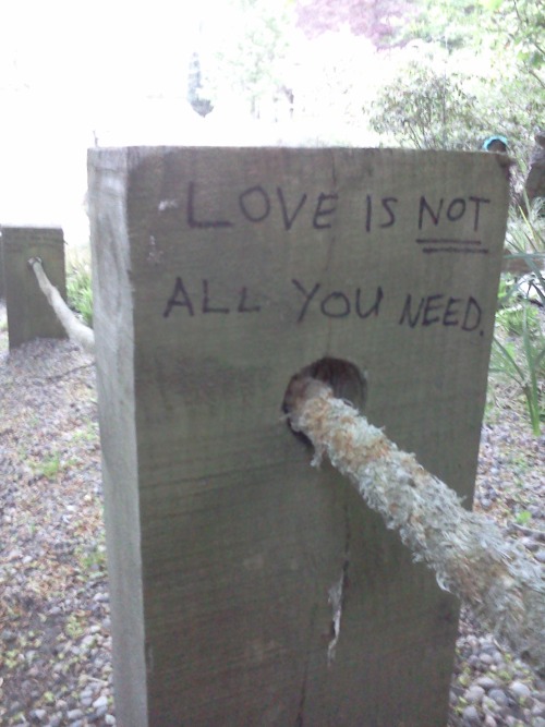 supergaygenes:  dyspraspie:  Graffiti written on a line of wooden posts.  Messages read: TW: Abuse; loving relationships can be abusive relationships; love is not all you need; what you need is to be safe from emotional, physical and sexual abuse; you