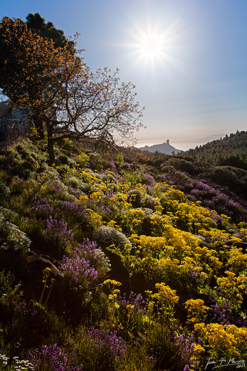 breathtakingdestinations:Tejeda - Gran Canaria - Canary Islands - Spain (by Juan Fco. Marrero)&