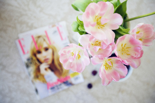 Tulips #7 &amp; Elle Magazine. 