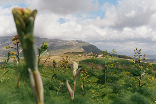 Looking across the hills of Sicily from Segesta.