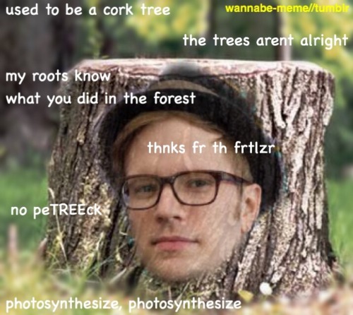 Patrick STUMP