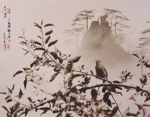 fuckyeahchinesefashion:  giuseppepetrocelli:  China  Don Hong-Oai was born in 1929 in the city of Gu