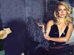 crimsonkismet:  Catherine Deneuve by Guy