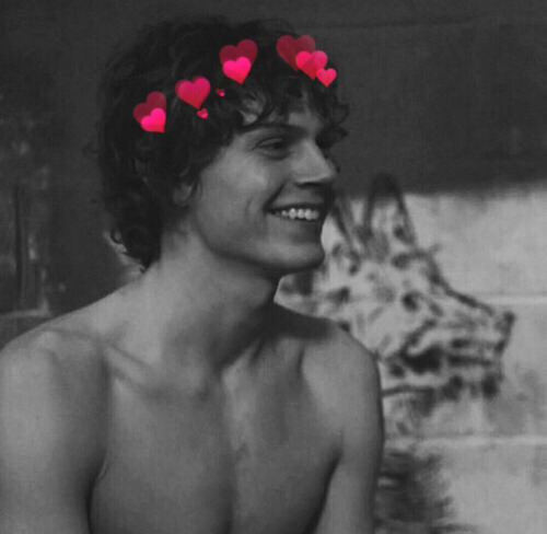 noxjai:  HAPPY BDAY EVAN PETERS ❤❤follow @noxjai on twitter like/reblog if you use this